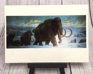 Postal de Mammoth de Charles R. Knight en Field Museum of Natural History IL - Imagen 1 de 4
