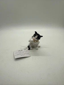 Cat Licking Paw Rhinestones & Gold Trim Jewelry Trinket Box Birthday Gift - Picture 1 of 7