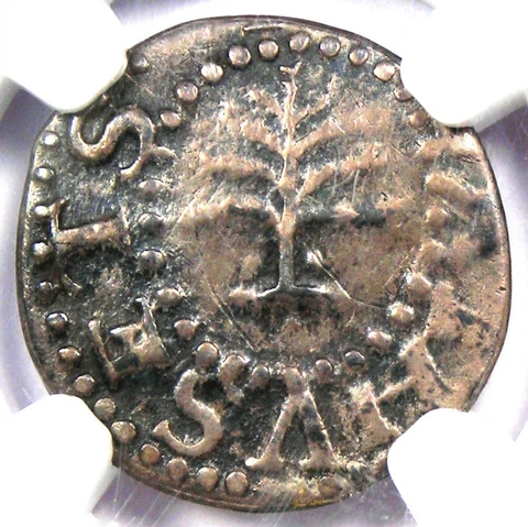 1652 Massachusetts Pine Tree Silver Threepence 3P - Certified NGC VF Details Cover