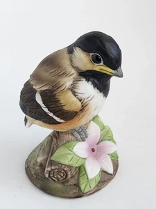 Figura de porcelana Chickadee Andrea de Sadek #9605 - Imagen 1 de 8