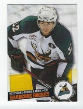 2008-09 Manitoba Moose (AHL) Pierre-Cedric Labrie 