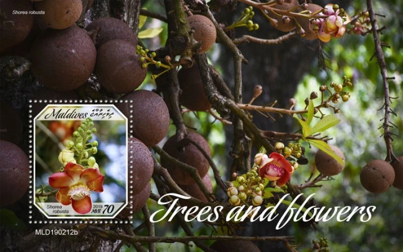 Maldives - 2019 Trees and Flowers - Stamp Souvenir Sheet - MLD190212b - Image 1 of 1