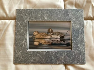  PINTAIL PAIR OPEN EDITION PAINTING PRINT BY STEVE & KATHY LEONARDI - Picture 1 of 2