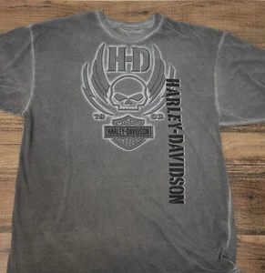 Distressed Gray Harley Davidson Double-sided T-shirt With Skull Graphic, 3XL - Picture 1 of 5
