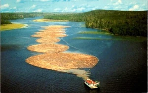 Postkarte Boot Abschleppen großes Blockfloß zur Papierfabrik Ontario ON Kanada 11213 - Bild 1 von 2