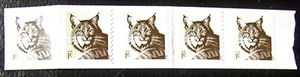 US 1¢ stamp SC #4672 Bobcat coil strip of 5 with number MNH - Picture 1 of 3