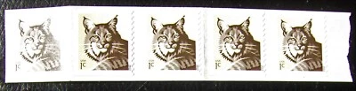 US 1¢ stamp SC #4672 Bobcat coil strip of 5 with number MNH - Image 1 of 3