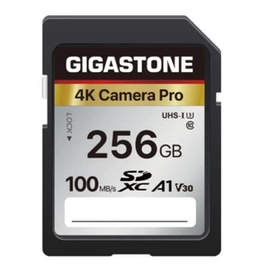 Gigastone 4K Camera Pro 256 GB -100MB/s Transfer Speed - SDXC - A1 V30 - Picture 1 of 6
