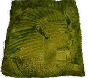 CONCRETE STAIN CONCENTRATE 4 OZ. MAKES 20 OZ. OF WATER-BASED STAIN - MOSS GREEN - Picture 1 of 1