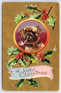 1910 Freudige Weihnachten - Bulldogge, Mops Hund - Augenklappe, Pfeifenstechpalme Postkarte (LESEN) - Bild 1 von 3