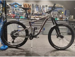 Mtb Enduro Bike Giant Reign SX Größe L - Bild 1 von 6