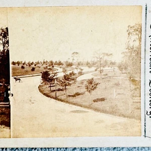 Winding Street Horse Vintage Stereoview Card Webster & Albee Publishers Rochester NY - Foto 1 di 4