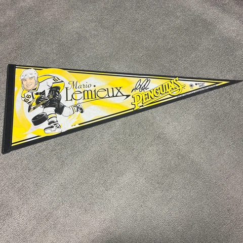Vintage Pittsburgh Penguins Pennant Mario Lemieux NHL Hockey 90s Retro Pens 66 Cover
