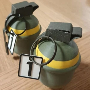 Registration Funny Hand Grenade Complaint Registration Decorations Hand Grenade - Picture 1 of 8