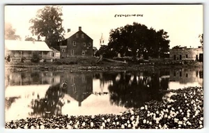RPPC Postcard Evangeline Oak St. Martinville Louisiana LA UNP - Picture 1 of 2