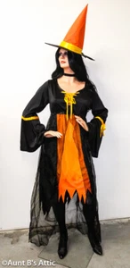 Witch Costume Quality 3Pc Blk/Orange Ladies Plus Size Dress Choker & Hat - Picture 1 of 4