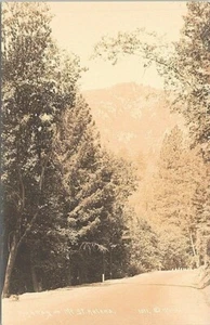 RPPC Mt. St. Helens Washington Highway Scene 1950s era - Picture 1 of 2