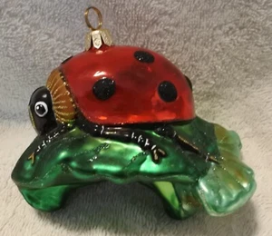 Marienkäfer geblasenes Glasornament Polonaise Kurt S. Adler von Komozja - Bild 1 von 5