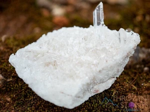 HIMALAYA QUARZ, Rohkristall Cluster - Einweihungsgeschenk, Deko, Steine, 39854 - Bild 1 von 10