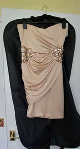 BNWOT Champagne Cocktail Dress Size 12 - Picture 1 of 2
