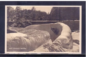 Cartolina Pontresina Pista da Bob XE274 - Picture 1 of 1