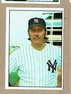 1975 SSPC Baseball Card New York Yankees Sparky Lyle
