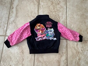 JH Design Paw Patrol Skye Everest Jacket Kids Size 3T TODDLER Embroidered - Picture 1 of 9