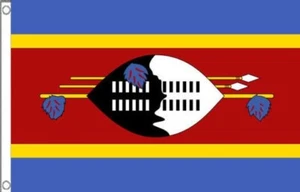 3’ x 2’ ESWATINI FLAG SWAZILAND FLAG Swazi Africa African Flags - Picture 1 of 1