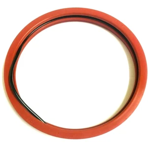 Pentair Pool Light Gasket with Internal O-Ring P/N: 620400Z - Picture 1 of 2