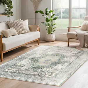 5X7 Area Rugs for Living Room Non Slip Area Rug 5X7 Rugs Washable Rugs 5X7 Vinta - Picture 1 of 12