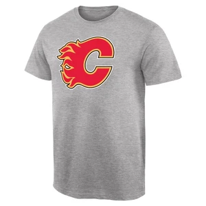 Men's Ash Calgary Flames Team Primary Logo T-Shirt - Picture 1 of 1