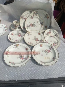 15 piezas. BERNARDAUD LIMOGES BENGALÍ PATRÓN PLATOS DE CENA Cuencos NUEVAS Tazas - Imagen 1 de 13