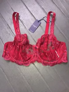 Fantasie Angelina Vertical Seam Bra FL9551 Color Rojo Talla 36E (Reino Unido) - Imagen 1 de 5