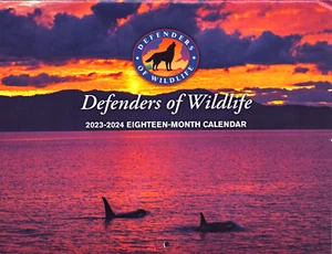 2023-2024 Defenders of Wildlife 18 Month Wall Calendar New Bears Wolves Buffalo - Picture 1 of 2