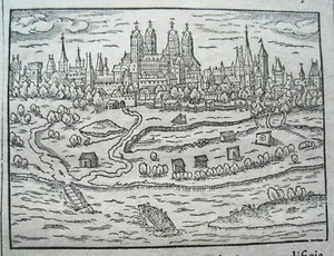 Speyer am Rhein hermoso grabado en madera de Saur en la página completa muy antiguo 1593 - Imagen 1 de 1