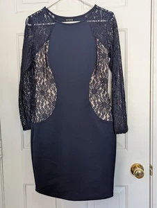 EN FOCUS STUDIO Sheath Dress Sz 6 Navy Floral Lace Beige Lining L/S Stretch - Picture 1 of 9