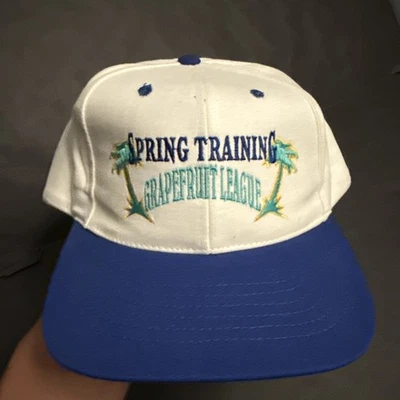 Vintage MLB Grapefruit League Spring Training Hat Twins Enterprise Snapback 90s - Image 1 of 4