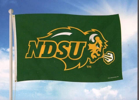 North Dakota State Bison 3X5 Indoor Outdoor Banner Flag with grommets Cover