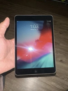 Apple iPad Mini 2 32GB WiFi Space Gray Tablet A A1489 - Picture 1 of 14