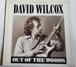 David Wilcox – Out Of The Woods ST-6505 Rock Blues 1983 Vinyl LP Record - Imagen 1 de 6
