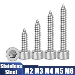 Socket Cap Self Tapping Screws A2 Stainless Steel Allen Key Tappers M2 M3 M5 M6 - Picture 1 of 6