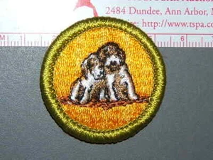 Boy Scout Merit Badge Dog Care circa '76-'06 2994M - Picture 1 of 1