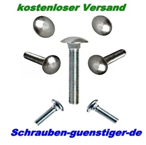 Tornillos de cierre DIN 603 acero inoxidable V2A peso completo Tornillos de cabeza plana M5 M6 M8 M10 - Imagen 1 de 1