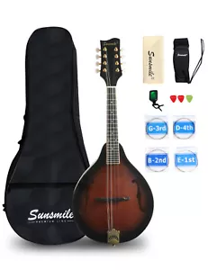A-Style Acoustic Mandolin Instrument 8 String with Spruce Top Arched F Hole Body - Picture 1 of 12