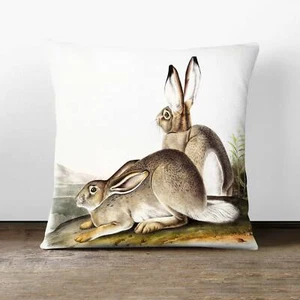 Plump Cushion Rocky Mountain Hares Landscape J.W. Audubon Scatter Throw Pillow - Picture 1 of 12