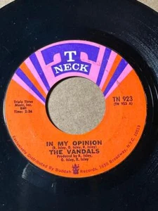 THE VANDALS T Neck TN 923 IN MY OPINION Parts 1& 2 SWEET SOUL VG/VG+ LISTEN - Imagen 1 de 1