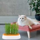 Cat Grass Planter Tray Reusable Cat Grass Planting Box for Greenhouse Garden