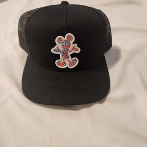 Hat - Picture 1 of 2