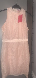 Pink boutique pink lace High Neck Dress Womens BrandNew Tags Size 10 (fits 8-10) - Picture 1 of 1