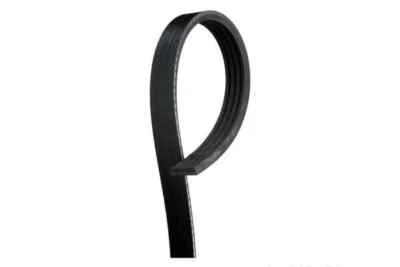 Cinturón serpentino acanalado en V GM GMC Envoy 2003-2009 genuino 12576446 Foto 1 de 4